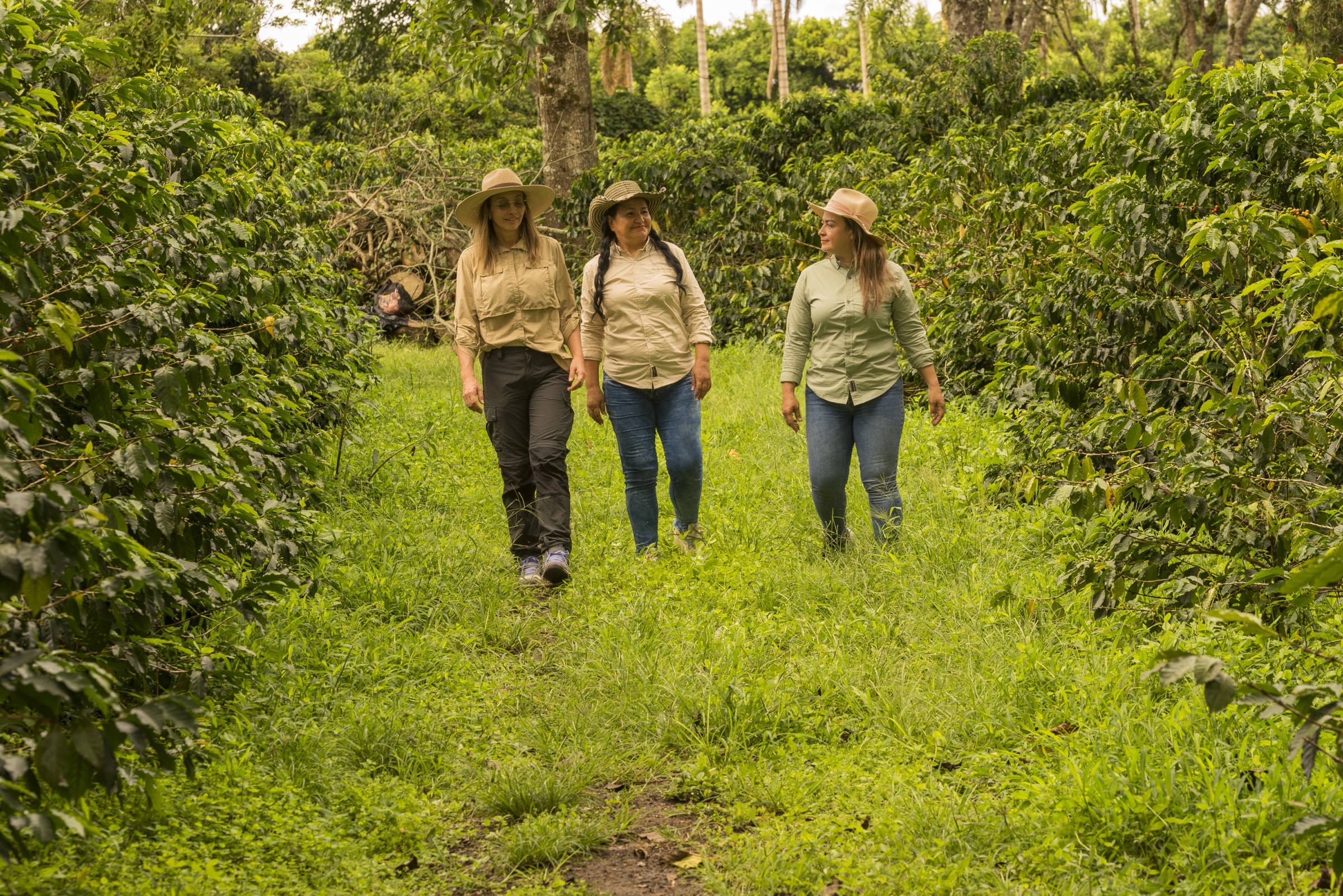 The Gathering — women of Zada at end of day